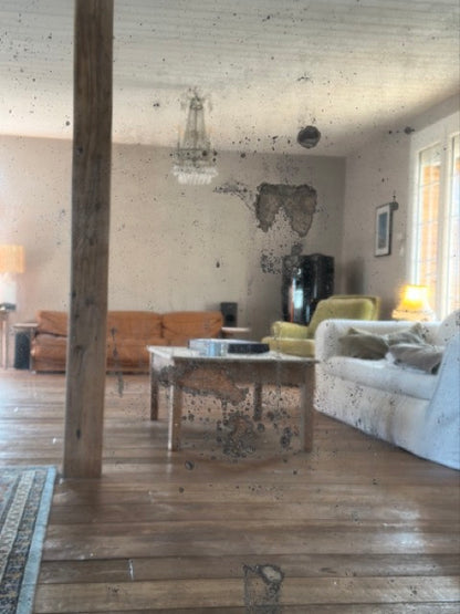 Charles - Le grand miroir ancien